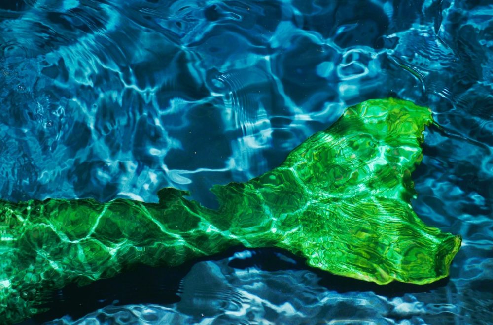 Restos de extraña criatura emergen del mar… ¿una sirena alienígena?