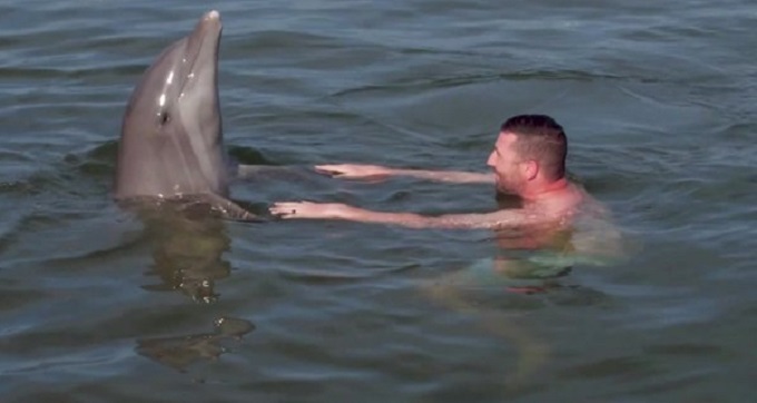 Ex soldados tuvieron un encuentro especial con delfines