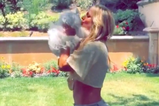 Britney Spears recuperó   a sus perros tras altercado con una empleada