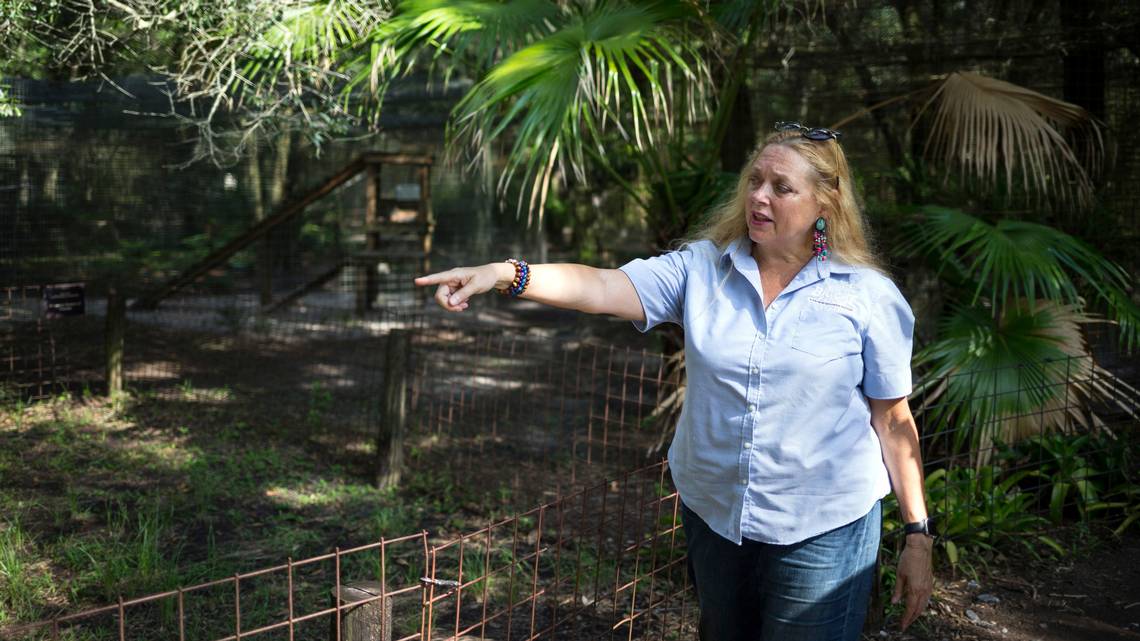 Voluntaria de un zoológico en Florida fue atacada por un tigre y casi pierde el brazo