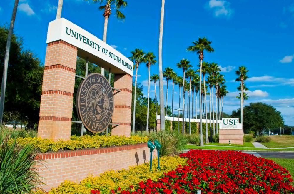 Universidad del Sur de Florida en alerta tras encontrar un cadáver en el campus