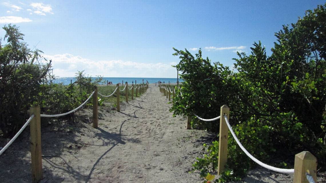 No se meta en el agua: Playas de Miami están repletas de bacteria fecal, según análisis