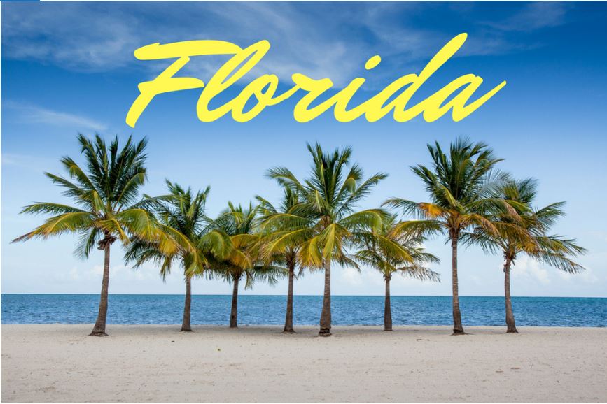 Visit Florida se verá obligada a reducir personal luego de un importante recorte presupuestario