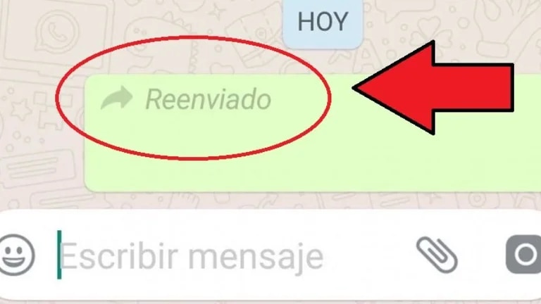 WhatsApp: truco sencillo para que no aparezca la palabra “reenviado”