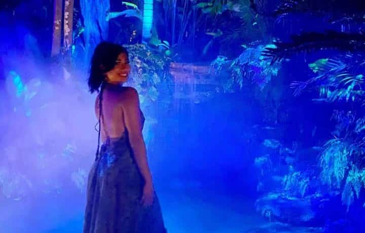 Noviembre: Cosas divertidas para hacer en Miami