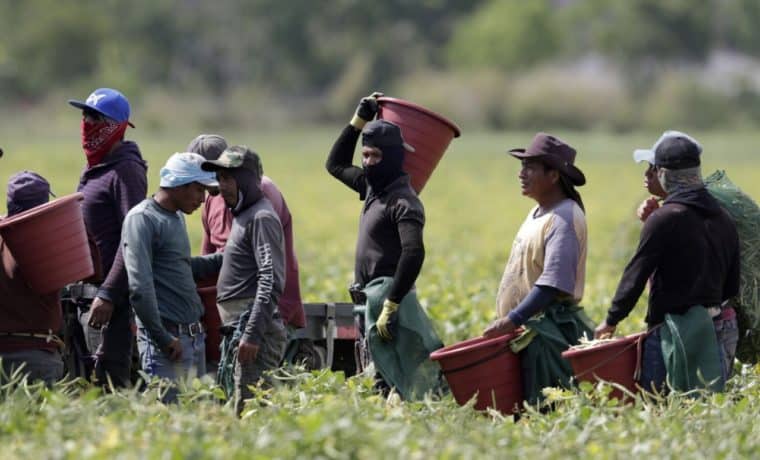 Indocumentados en EEUU pueden denunciar abuso laboral sin riesgos de deportación