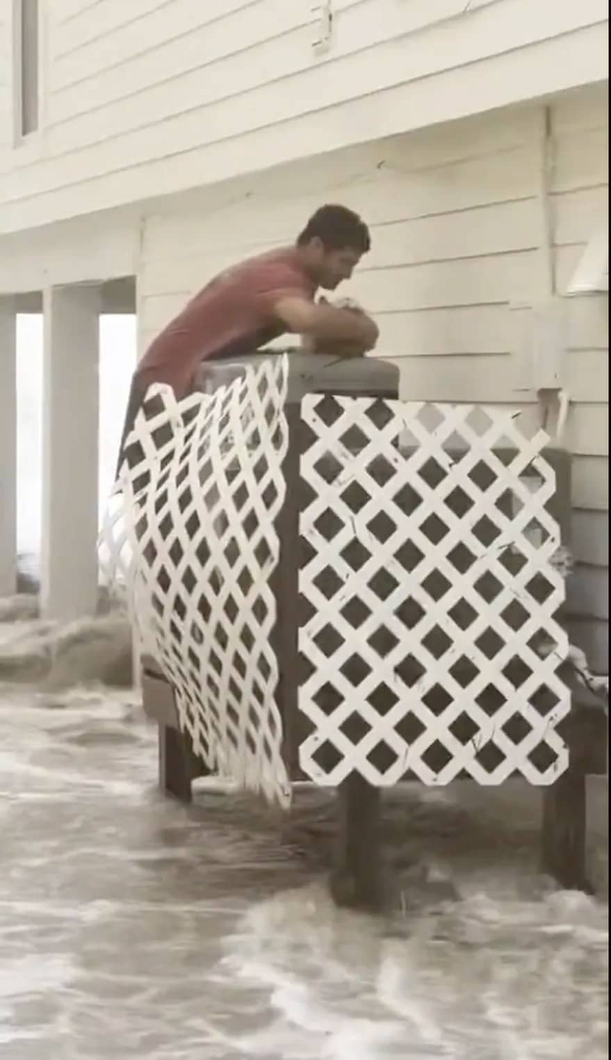 ¡En video! Un buen samaritano rescata un gato en medio del huracán Ian y se hace viral