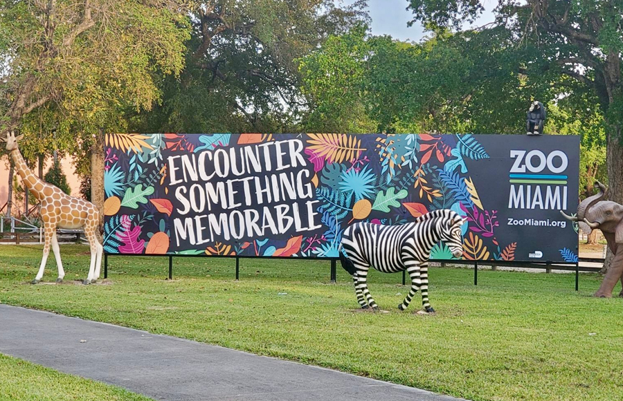 ¡Bienvenido, Winston! Zoológico de Miami estrena nuevo residente