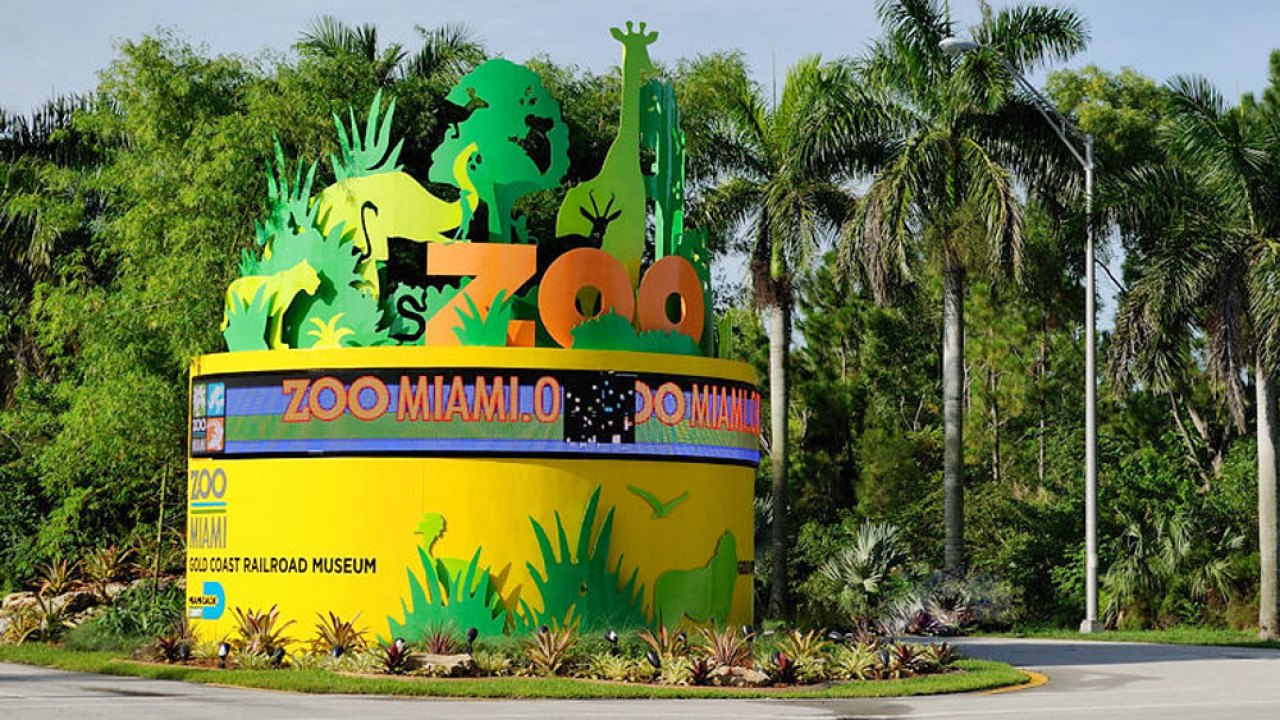 Zoológico de Miami recibe $100.000 para crear hospital de animales de ‘clase mundial’