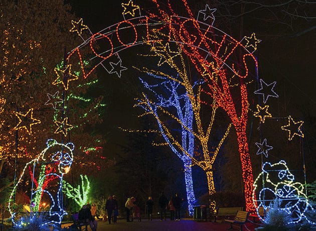 Zoo Lights Miami estará disponible hasta el 30 de diciembre