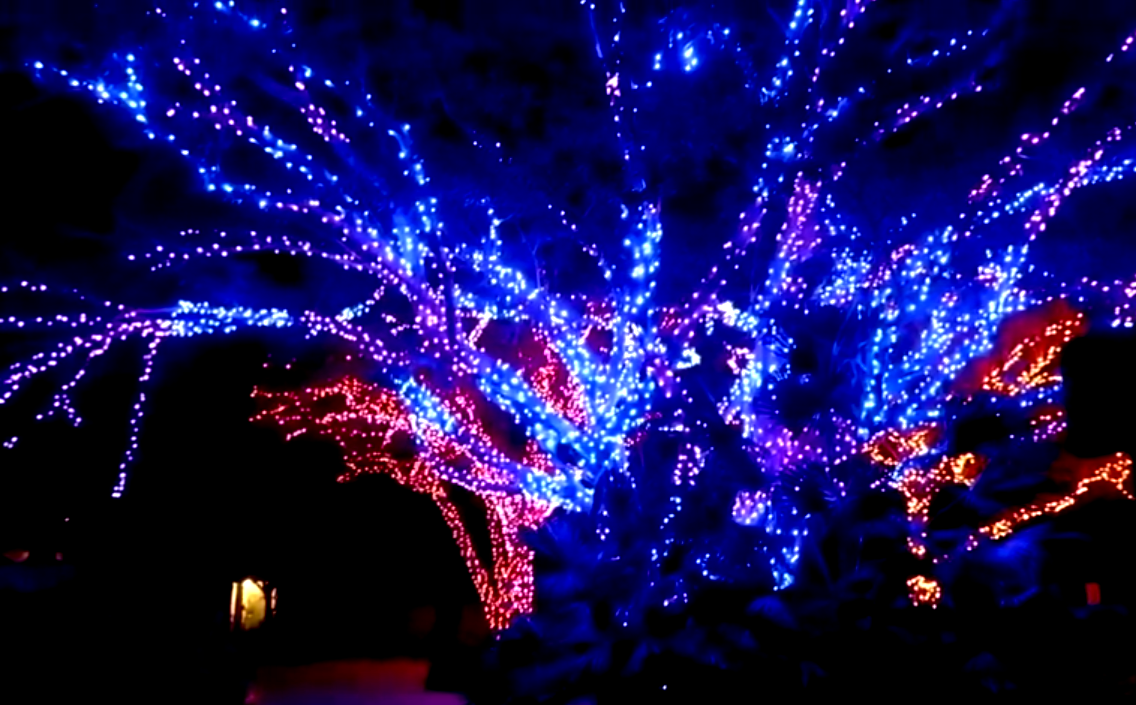 Zoo Lights Miami llena de alegría esta Navidad