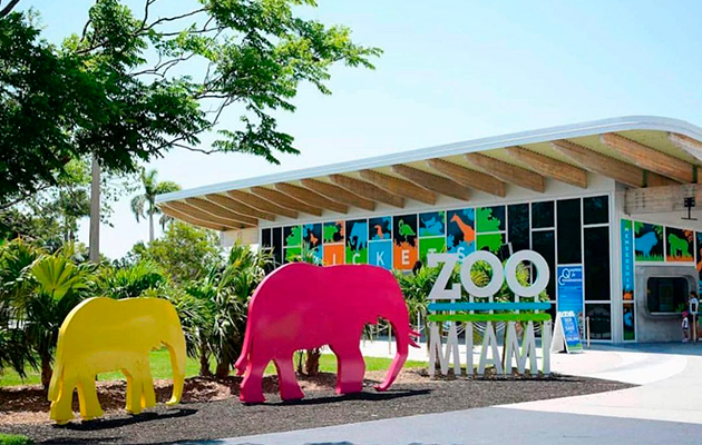 Zoo de Miami envuelto en una polémica por maltrato a ave en peligro de extinción