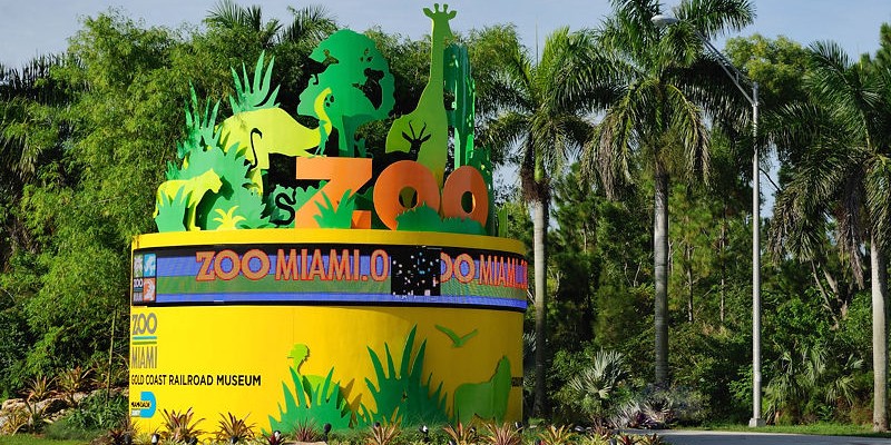 Zoológico de Miami será el anfitrión de un evento para recaudar fondos con arte hecho por animales