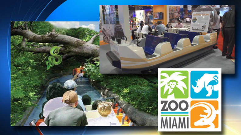 Zoológico de Miami rompe el récord de asistencia en 2021