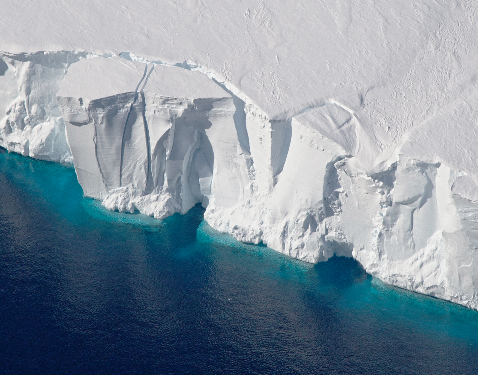 ¡Alerta! La Antártida se desmorona soltando icebergs a un ritmo vertiginoso