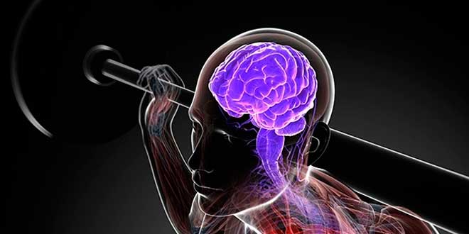 El ejercicio físico y su relación con la salud cerebral, conozca los beneficios