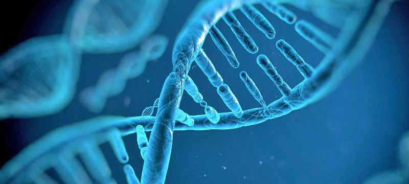 Información dígital del ADN es almacenada por científicos de Israel