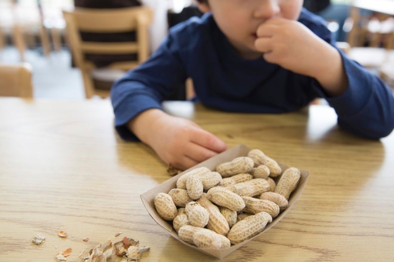 Un tratamiento temprano controlaría las alergias al maní en niños pequeños