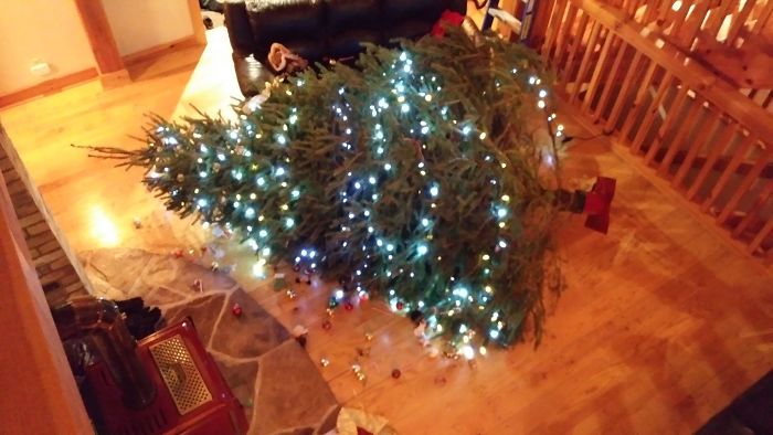 Perdió los estribos y estrelló el árbol de navidad… ¡contra su esposa!