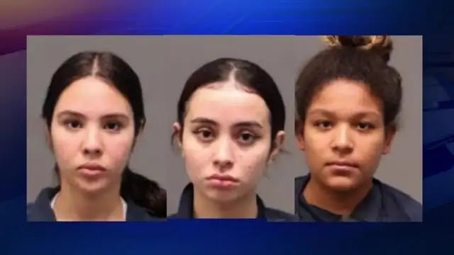 Arrestan a adolescentes por asaltar local en Florida y propinar golpiza a empleada