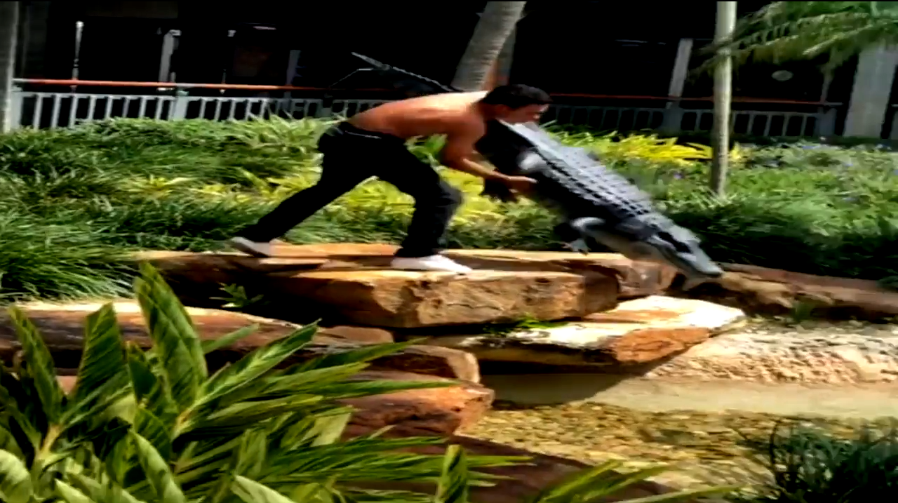 ¡Insólito! Estudiante ataca a un cocodrilo falso y termina tras las rejas