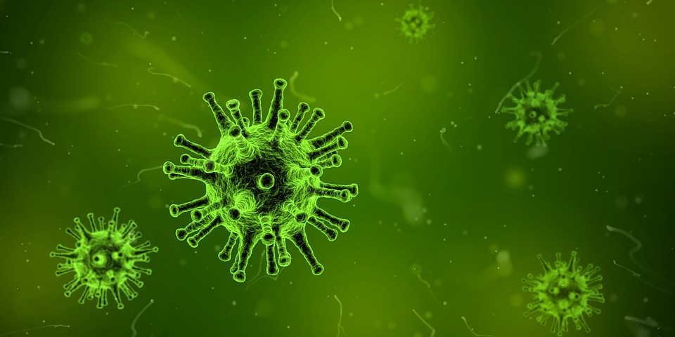 Científicos precisan 19 formas de ‘superbacterias’ resistentes a tratamientos con antibióticos