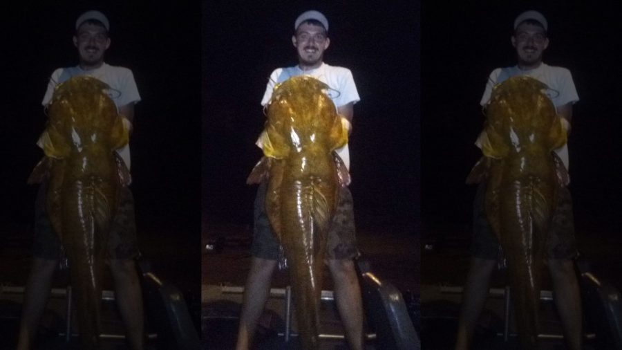 Hombre capturó el bagre más grande jamás visto de Florida