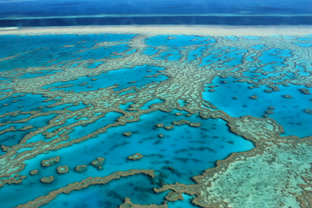 Gran Barrera de coral en riesgo de extinción por el calentamiento global