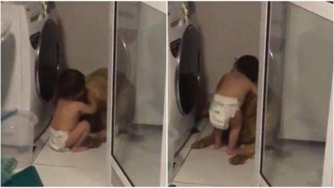 ¡Ternura al máximo! Se hizo viral un vídeo de un bebé tranquilizando a su perro por los truenos
