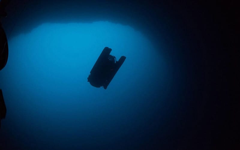 Expedición submarina descifra uno de los enigmas del mundo oceánico…