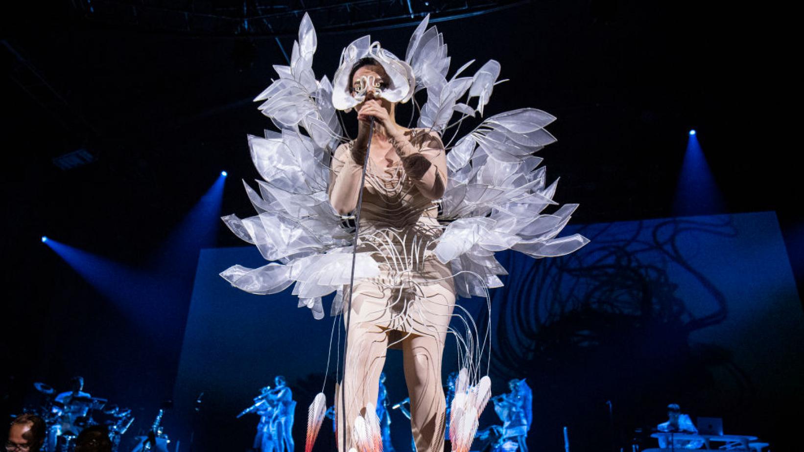 Björk anunció dos espectáculos en Miami con orquesta