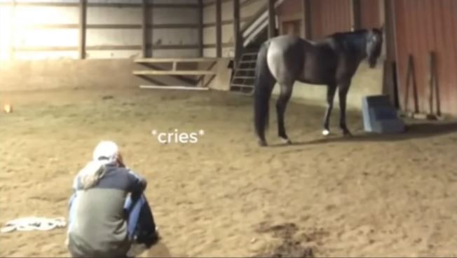 Mira la reacción de un caballo al ver a su dueña llorar (Video)