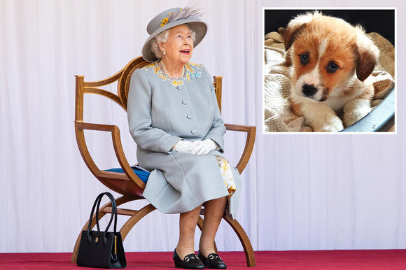 La Reina Isabel II recibió un regalo de cumpleaños: un nuevo cachorro corgi