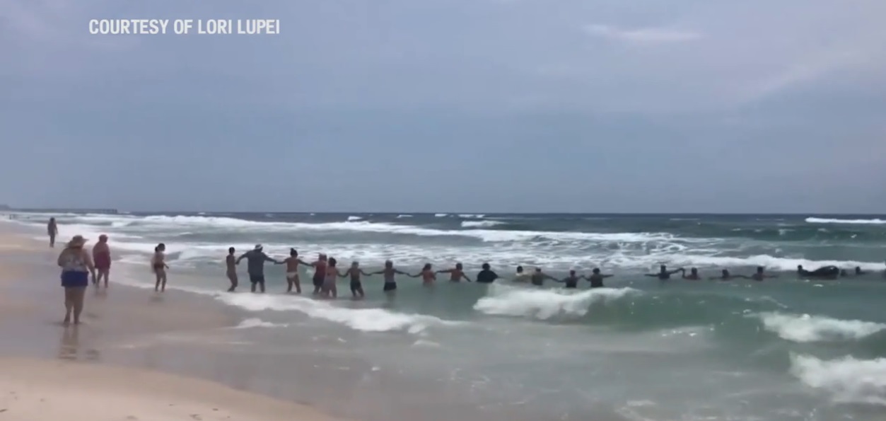 Mujer es salvada de morir ahogada gracias a cadena humana en playa de Florida