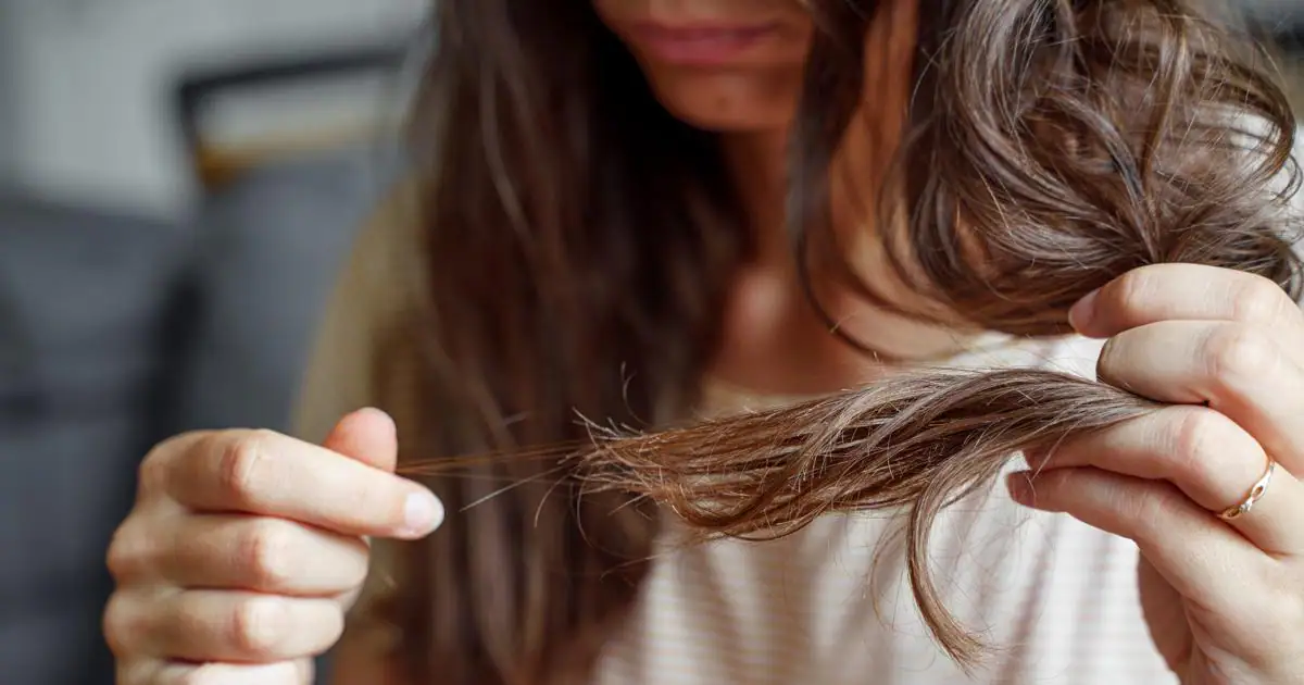 cabello