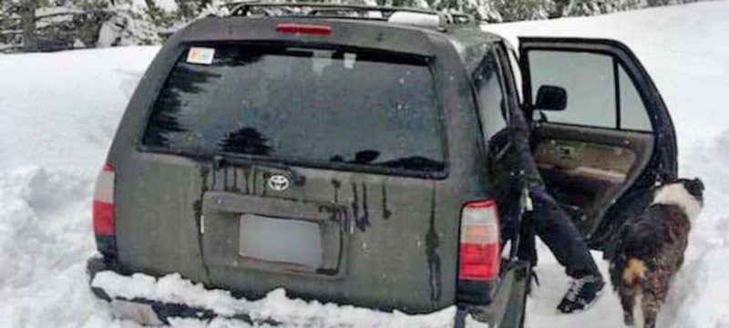 Hombre y su perro sobreviven 5 días atrapados por la nieve en un auto