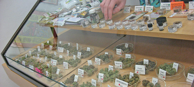 Nuevas regulaciones para comercios de cannabis medicinal