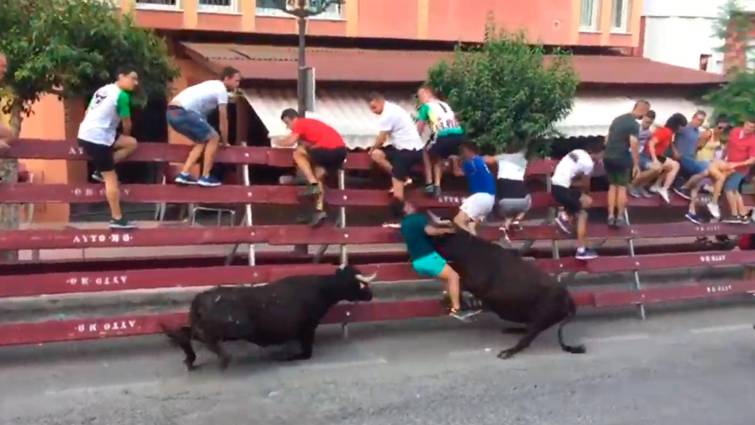 Brutal embestida de un toro a un hombre en un encierro en España (video)