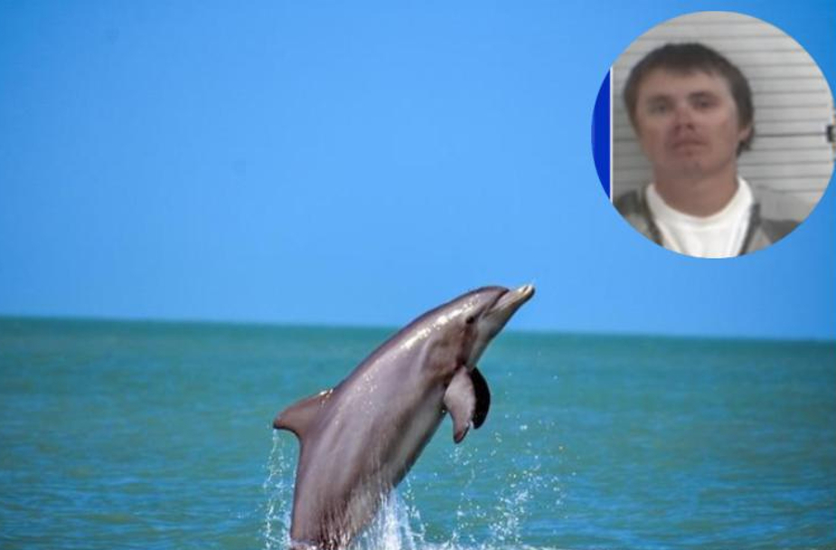 Pescador de Florida disparó y envenenó delfines: Lo condenan a prisión y multa de $51,000