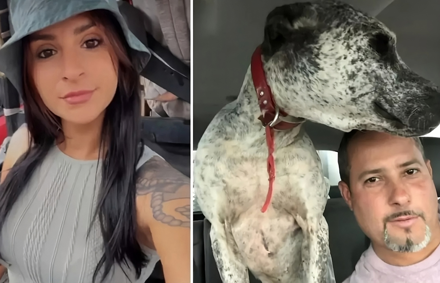 Hispanos pierden la vida intentando rescatar a su perro tras caer en cisterna