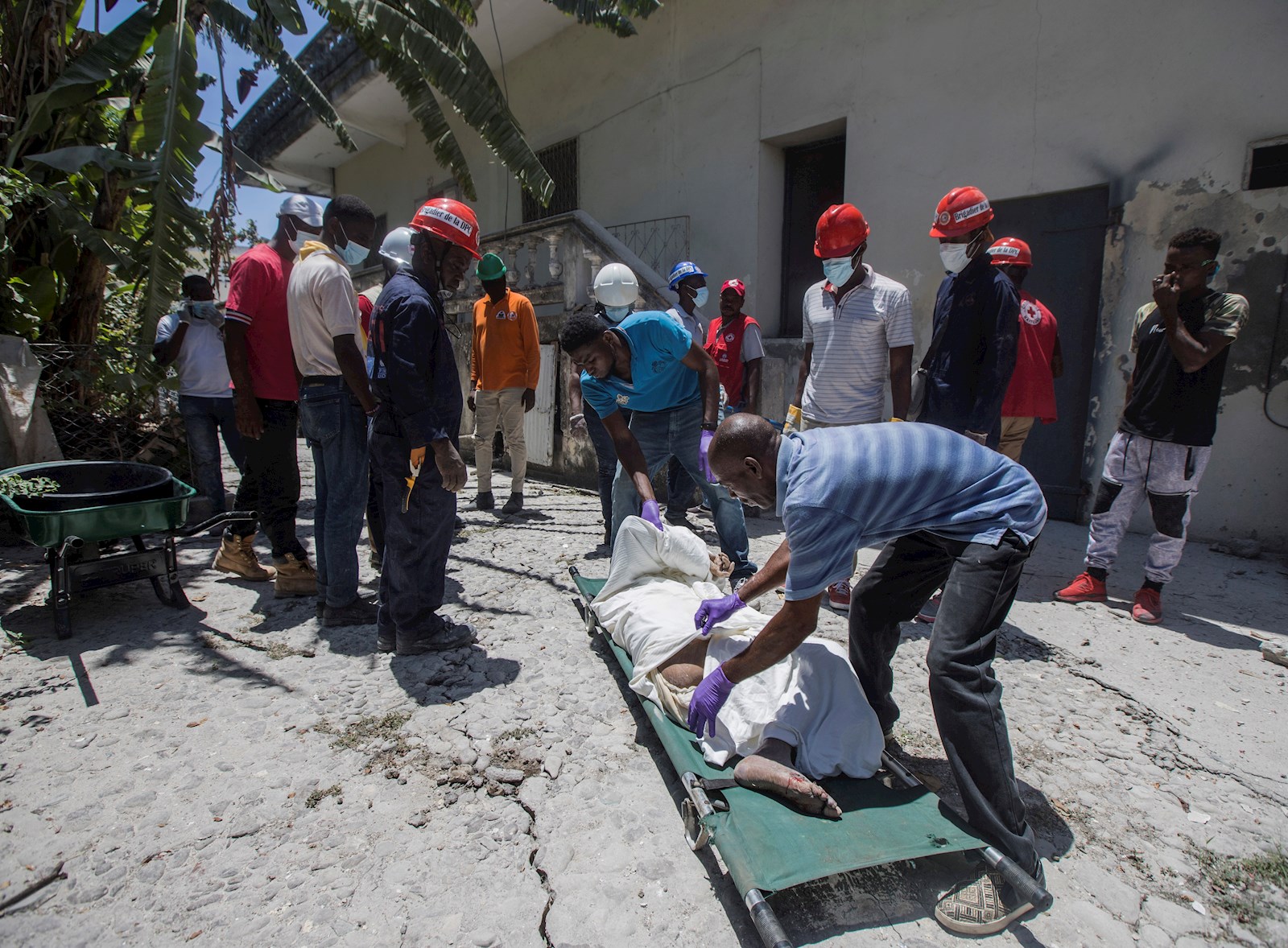 Aumenta a 1.297 la cifra de muertos por el terremoto en Haití