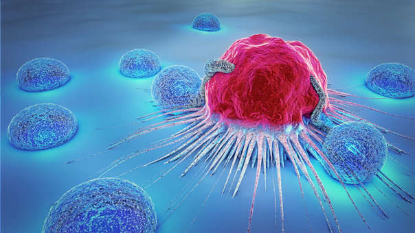 Científicos determinan que las células cancerígenas se hacen inmortales con vitamina C