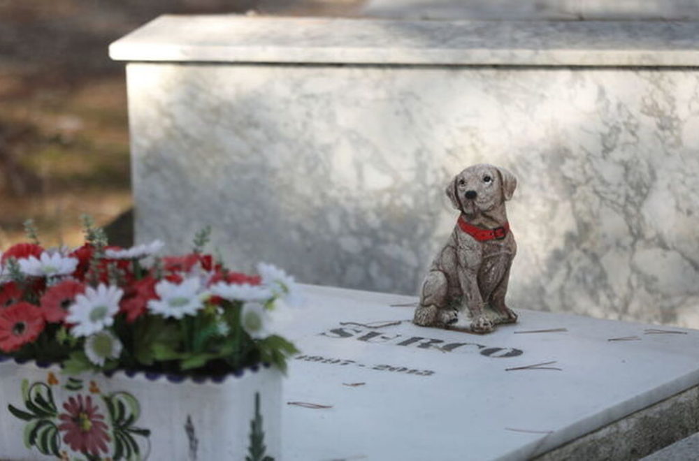 Cementerio público solo para mascotas será inaugurado en España