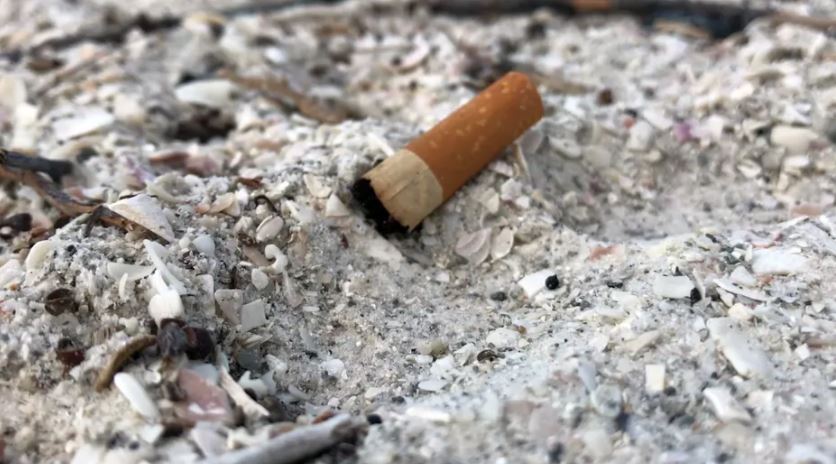 Florida vuelve a proponer la prohibición de fumar en la playa