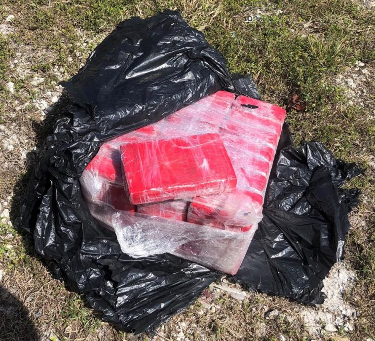 Buzo encontró alijo de cocaína de $1.5 millones en Cayos de Florida