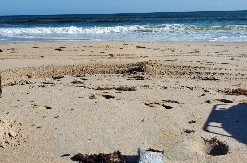 Bañista encuentra más de 20 ladrillos de cocaína en Vero Beach