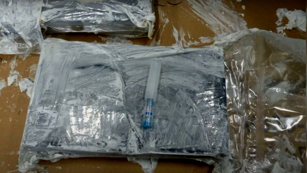 Golpe al narcotráfico: Incautan en Alemania 16 toneladas de cocaína