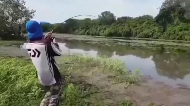 ¡Susto! Creyeron que atrapaban un gran pez y lo que tenían era un cocodrilo de 600 kilos (Video)