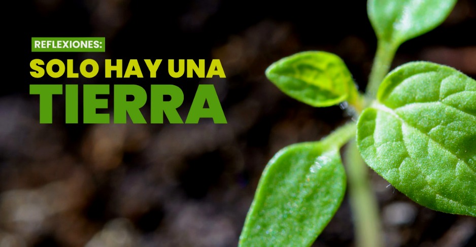 Miami: Inició la convocatoria para el concurso de fotografía