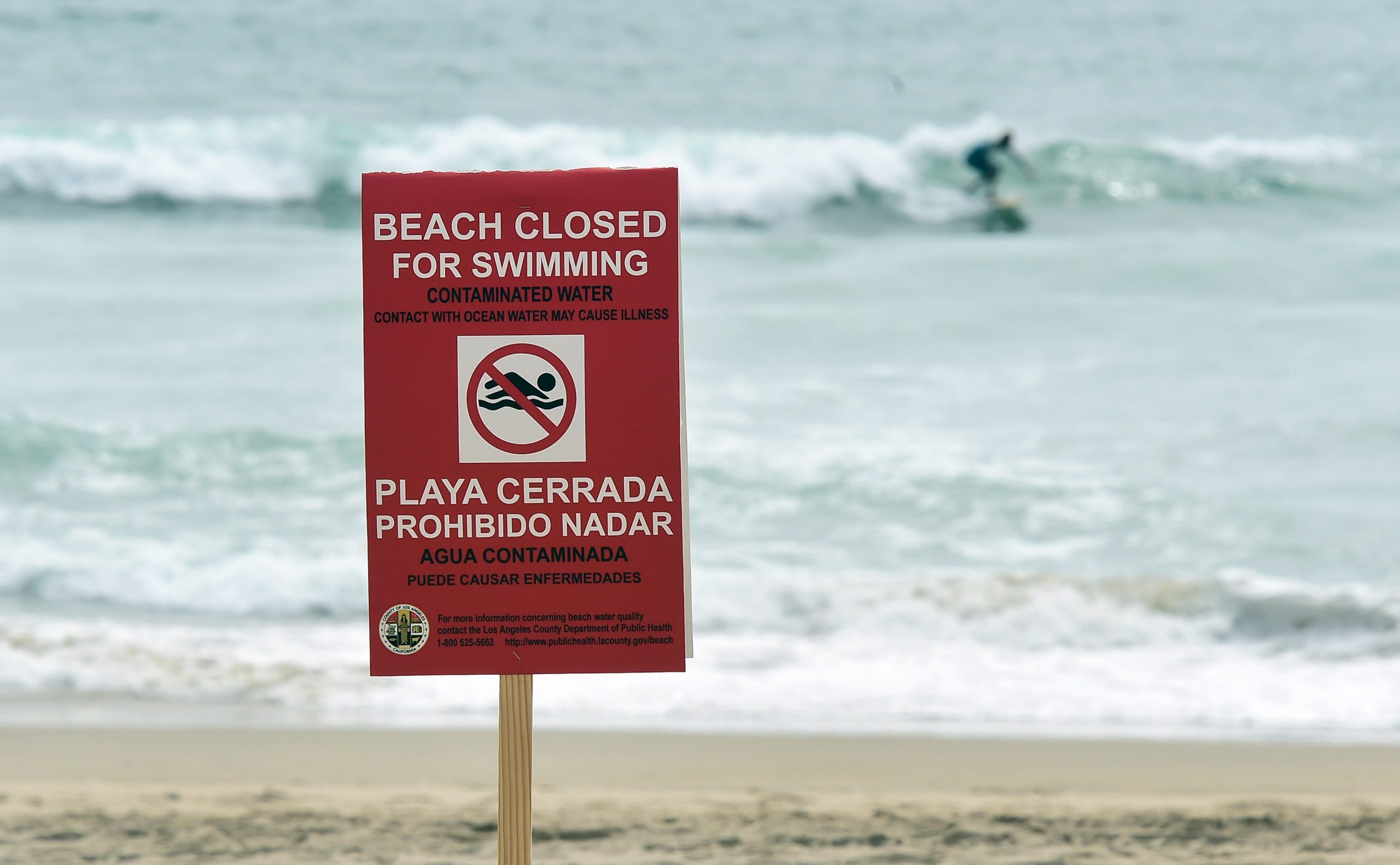 ¡Alerta! Aguas de Hollywood Beach contaminadas para bañistas